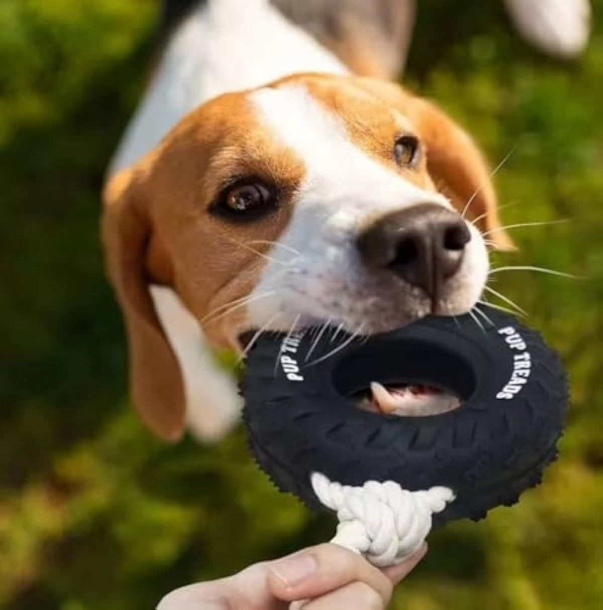 Natural Rubber Tire Toy for Dogs – Non-Toxic, Durable & Treat-Dispensing