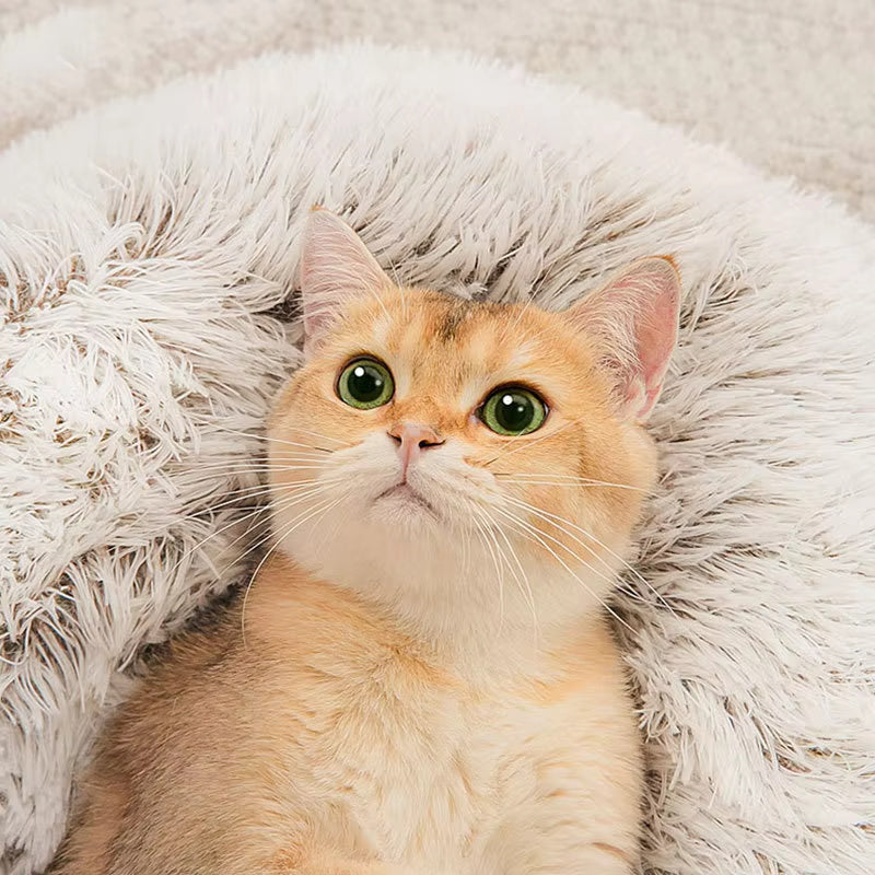 Snuggle Pup & Kitty Plush Bed