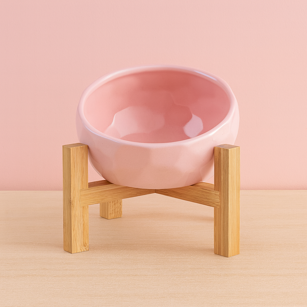 Tilted Pet Bowl – Anti-Spill for Cats & Dogs. So Stylish!