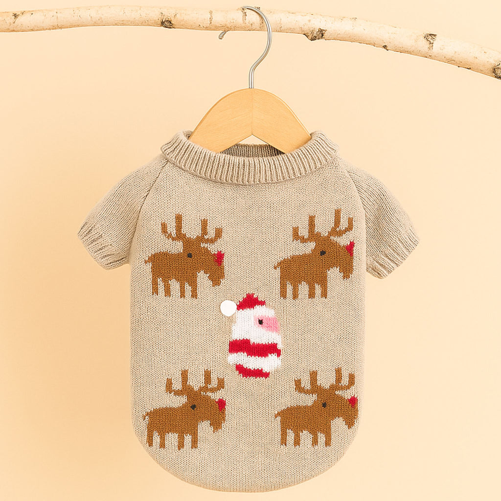 Santa Paws Christmas Sweater for Pets