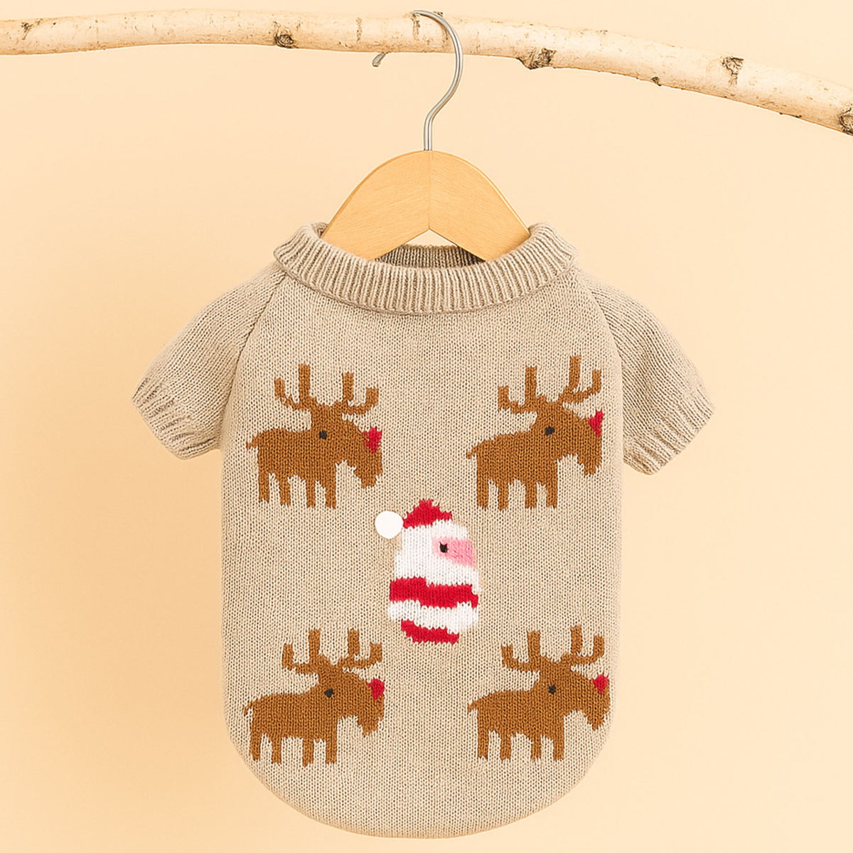 Santa Paws Christmas Sweater for Pets