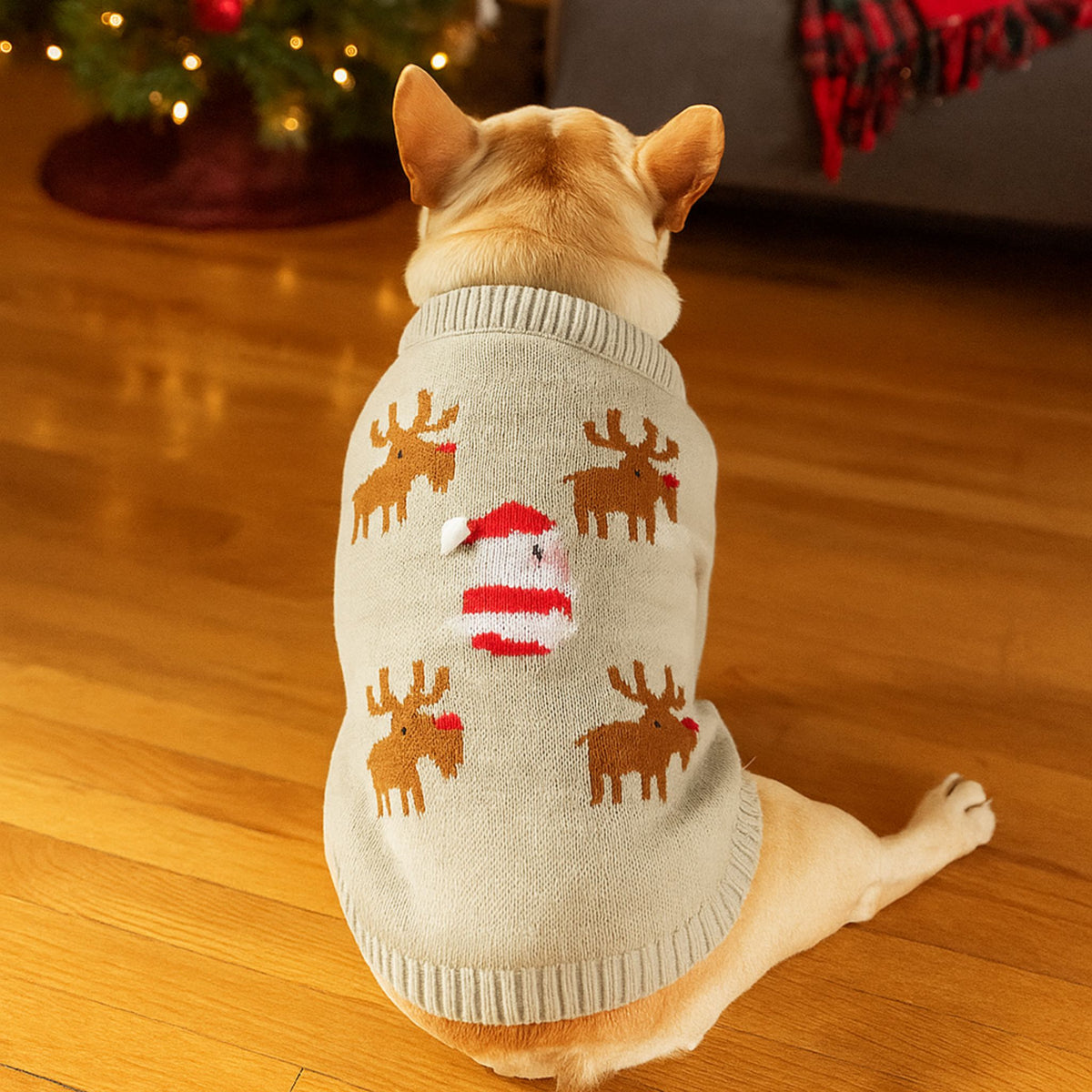 Santa Paws Christmas Sweater for Pets