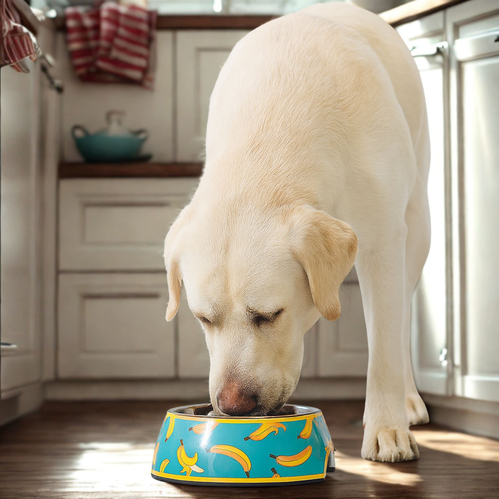 Non-Slip Pet Bowl – Cute Melamine Design + Stainless Steel Insert