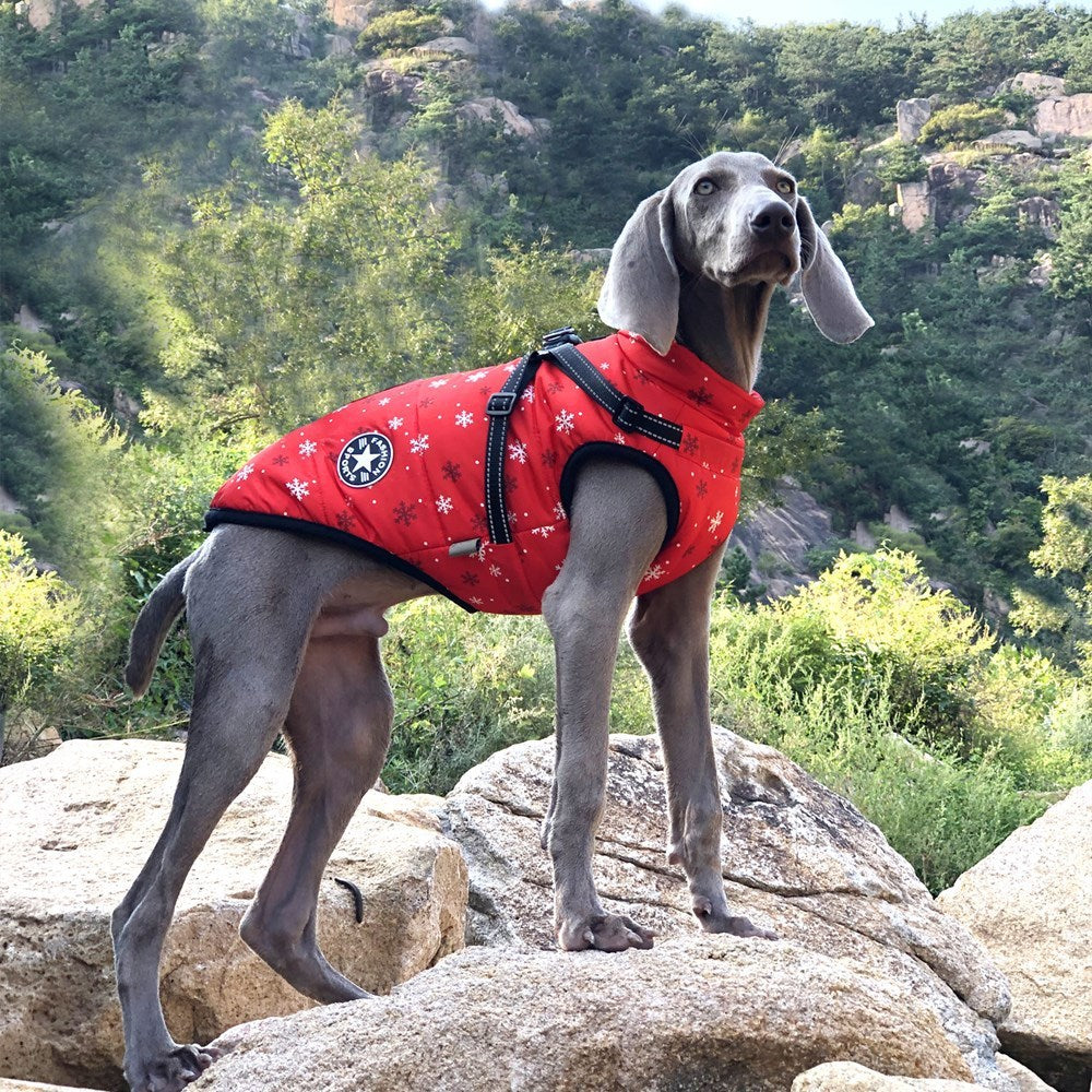 Christmas Waterproof Reflective Winter Dog Jacket