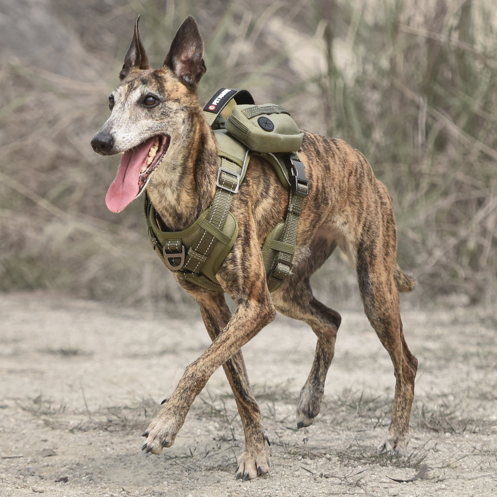 PETMARVEL High-Perfomance Tactical Dog Harness With Backpack, No Pull Front Clip & Metal Buckles